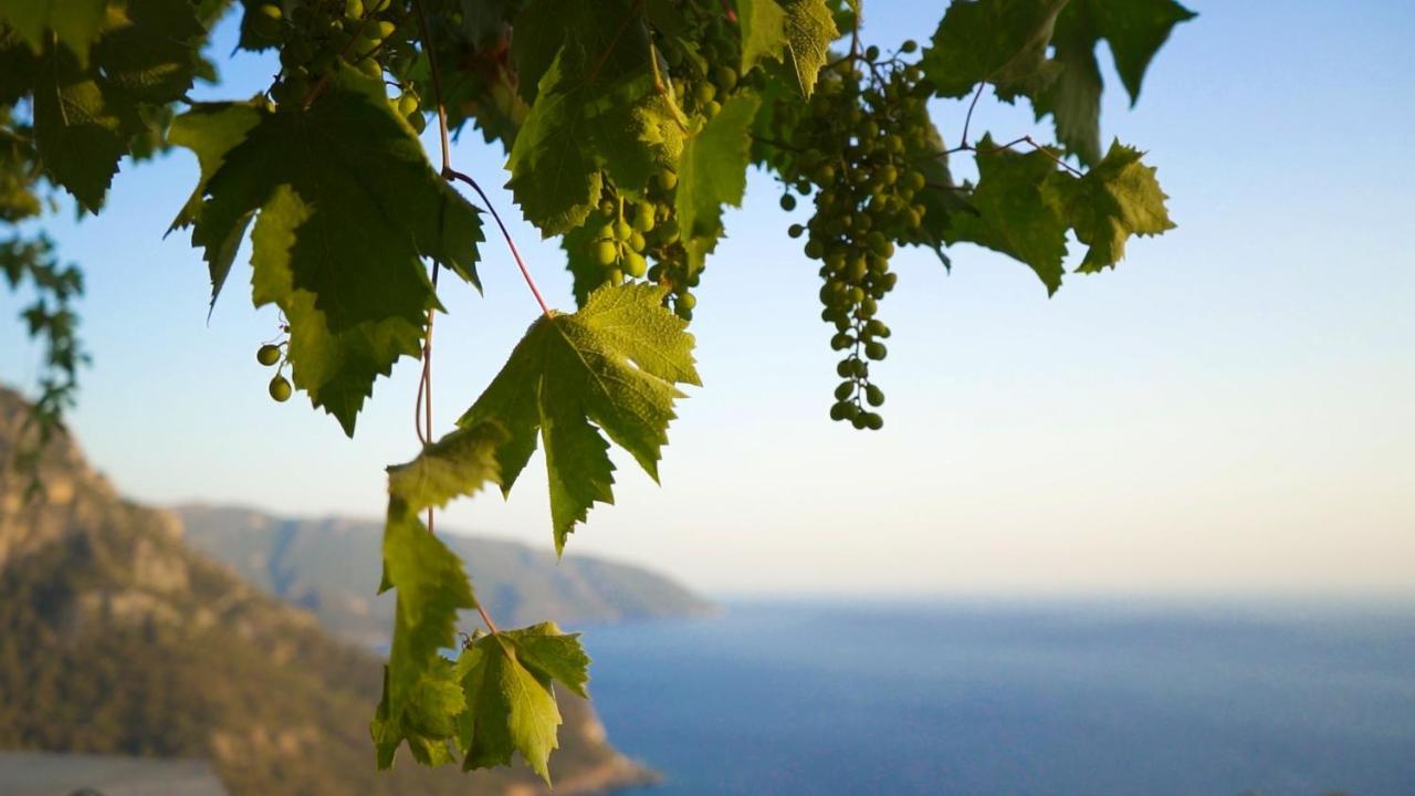 Kabak Mamma'S Pension Restaurant & Terrace Bar Fethiye Exteriér fotografie